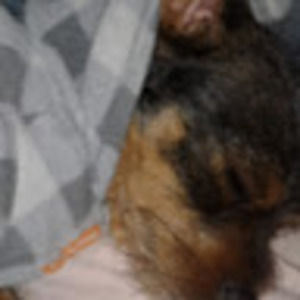 Meet your Posher, Araceli